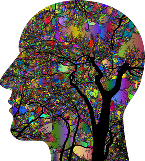 Hoofd met kleuren brein